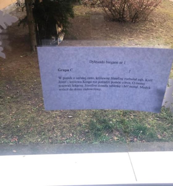 81230741_482335622386577_6649485534651482112_n